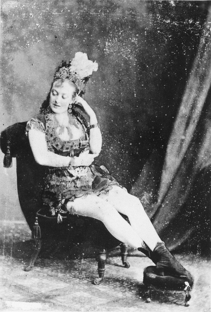 ミスラーディウィルソンの名刺、1870年代頃（アルブメンプリント） 作： 英語の写真家