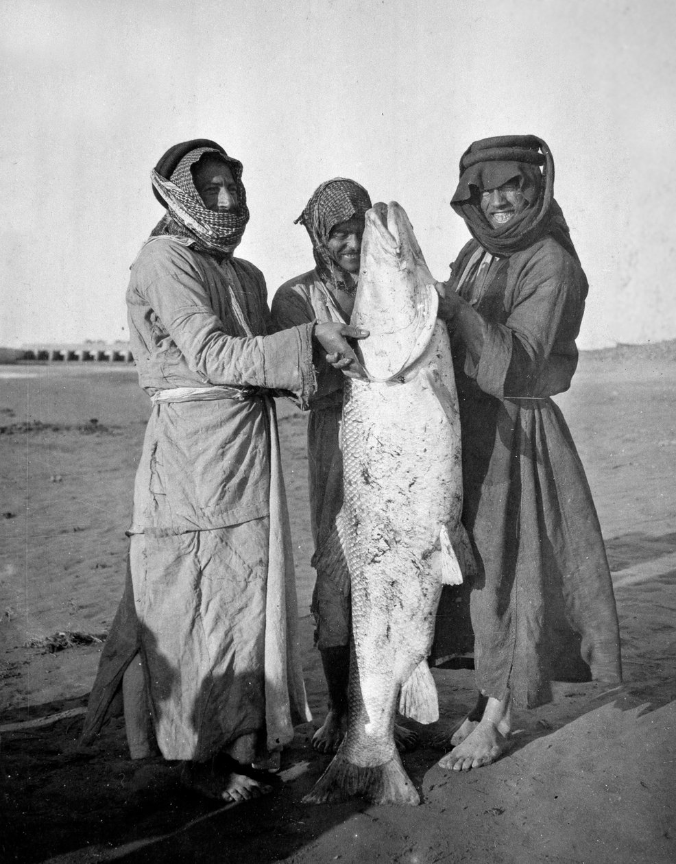 大きな魚がいる市民アラブ人、1914〜18年 作： 英語の写真家
