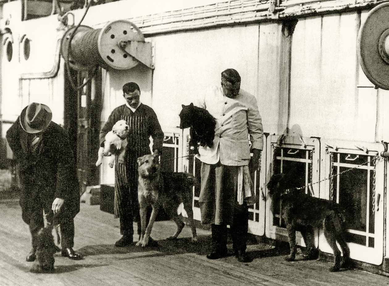 タイタニック号の乗組員によって世話されている犬、1912 作： 英語の写真家