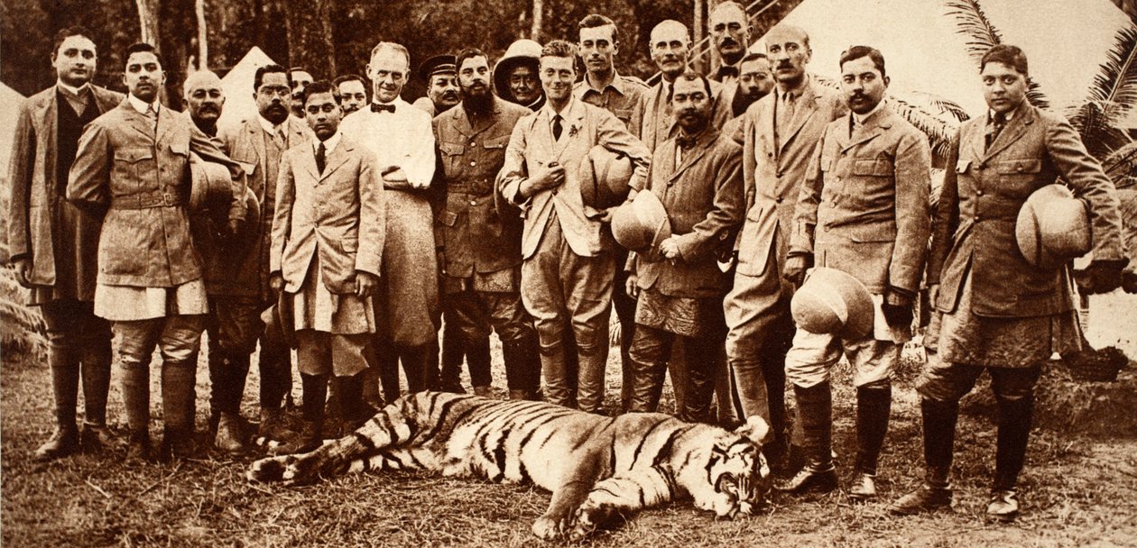 エドワード8世の初代タイガー、1921年 作： 英語の写真家