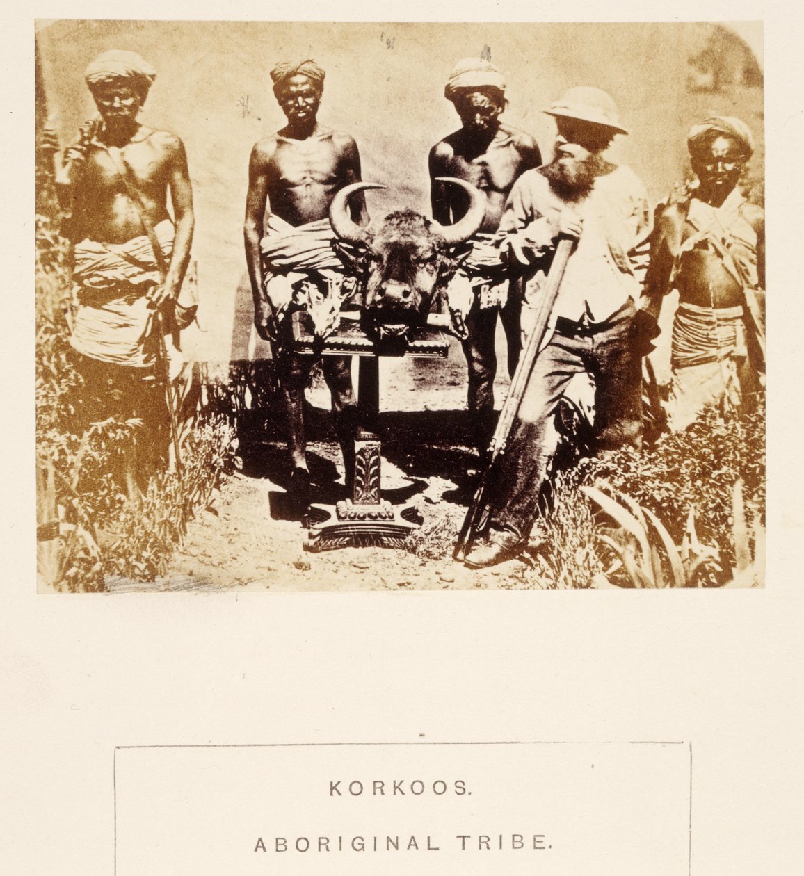 J.フォーブスワトソン著、インドの民衆からのコルクオス、アボリジニ族、ベラル、1868年出版（アルブメンプリント） 作： 英語の写真家