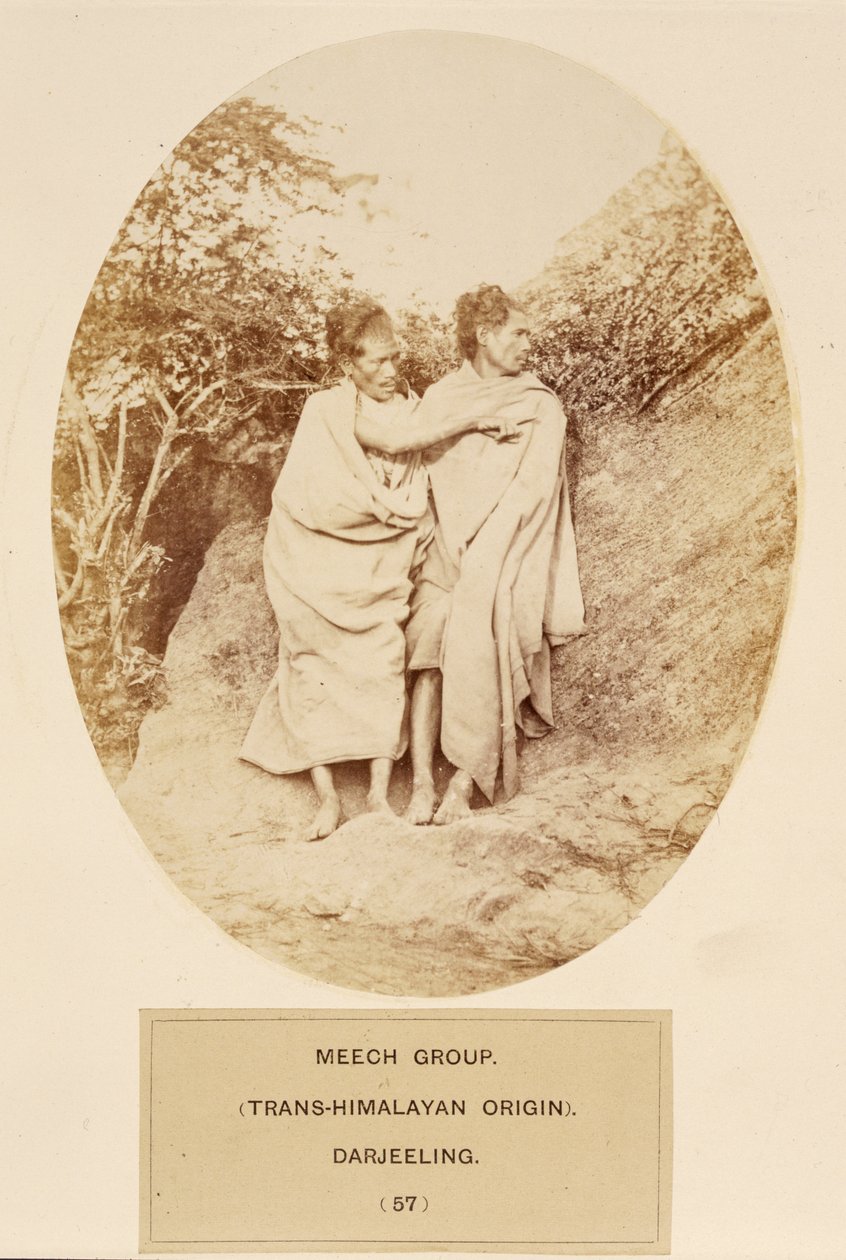 Meech Group（Trans-Himalayan Origin）、ダージリン、The People of India、J。Forbes Watson著、1868年発行（アルブメンプリント） 作： 英語の写真家