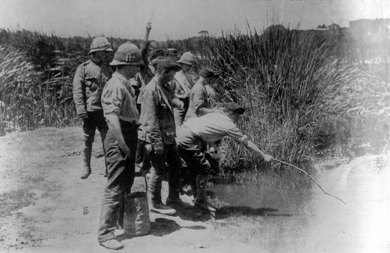 第一次世界大戦中の非番兵、トゲウオの釣り 作： 英語の写真家