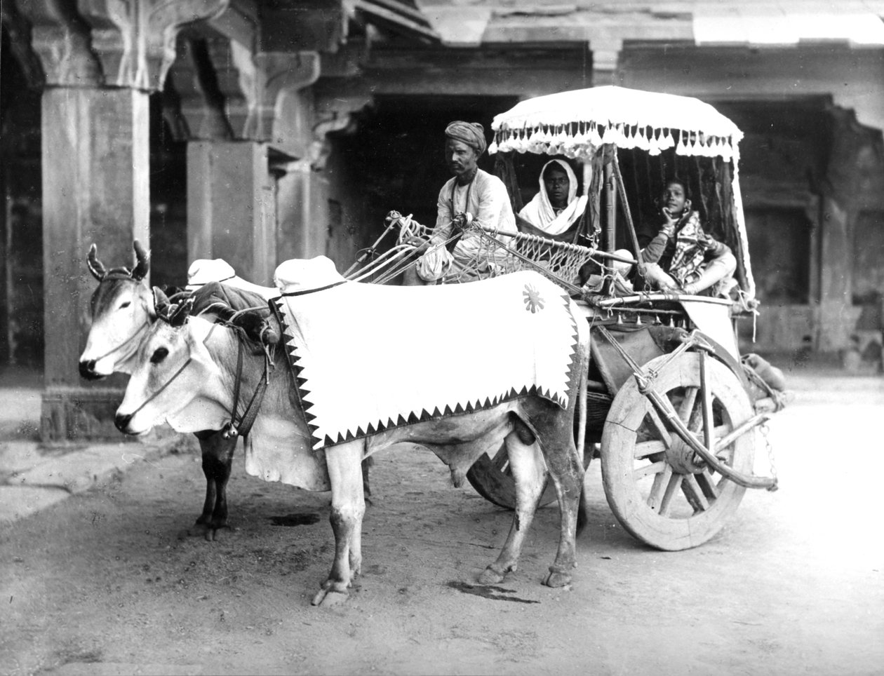 牛が描いたカート、インド、1907年頃 作： 英語の写真家