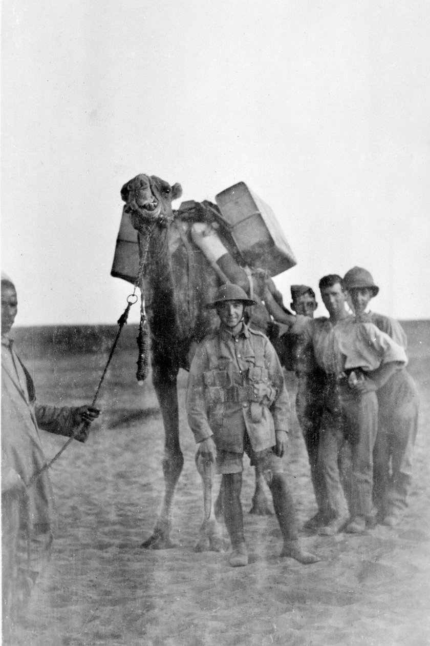第一次世界大戦中のメソポタミアの兵士 作： 英語の写真家