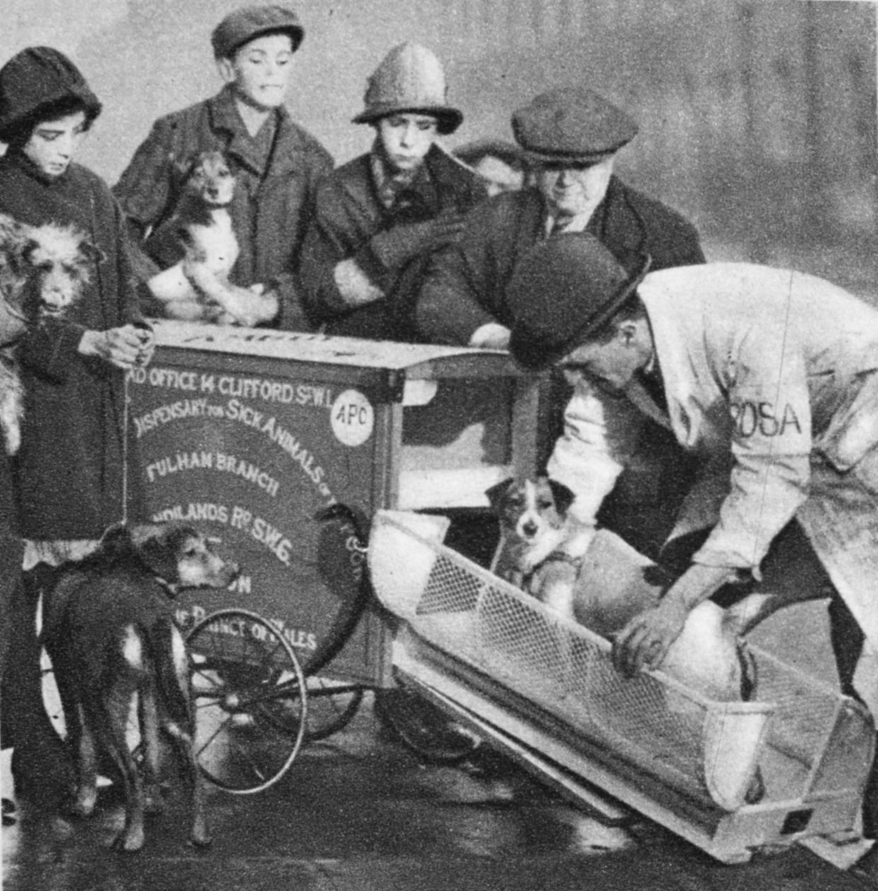 1926-27年に発行されたWonderful LondonのThe Peoples Dispensary for Sick AnimalsのFulham支部の獣医が1926-27年に公開（グラビア） 作： 英語の写真家