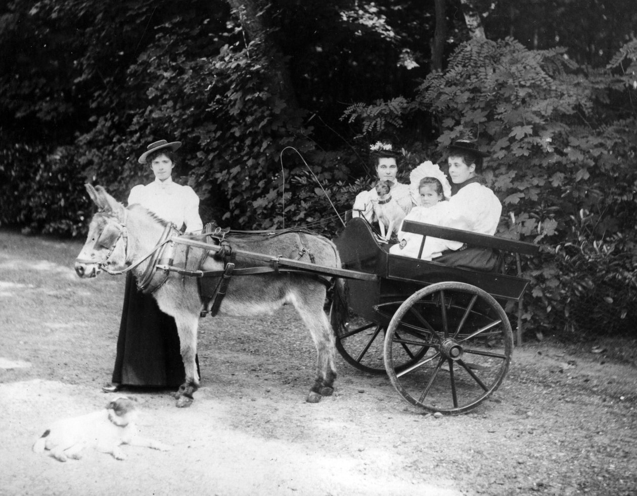 ビクトリア朝のロバのカート、1890年頃 作： 英語の写真家