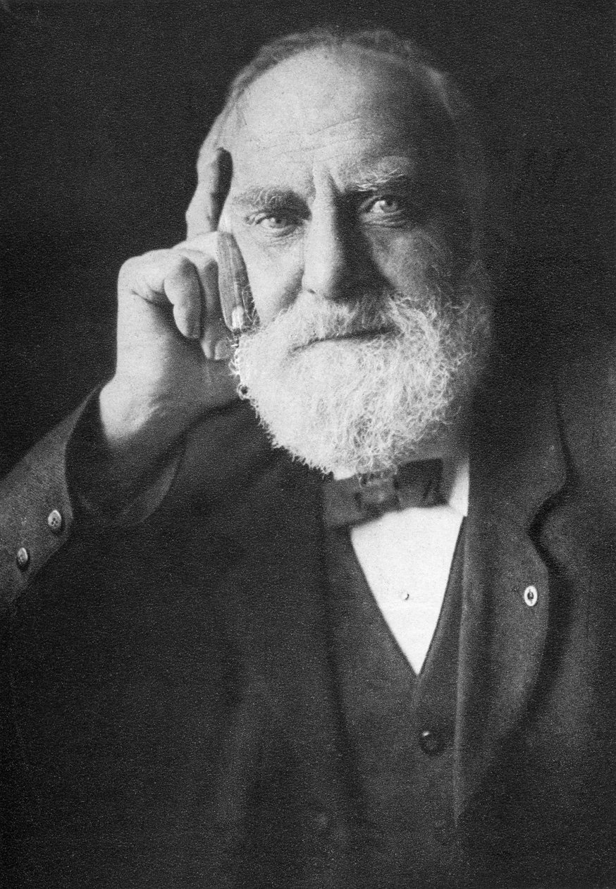 ウィリアム・トーマス・スティード（1849-1912） 作： 英語の写真家