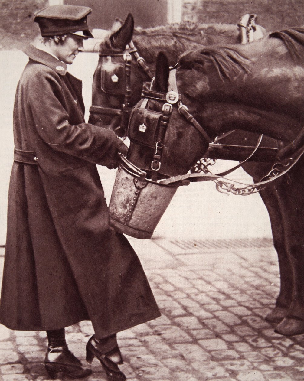 1917年3月7日、The Illustrated War Newsからのイラストによる馬の知識を持つ女性のための仕事（セピア写真） 作： 英語の写真家