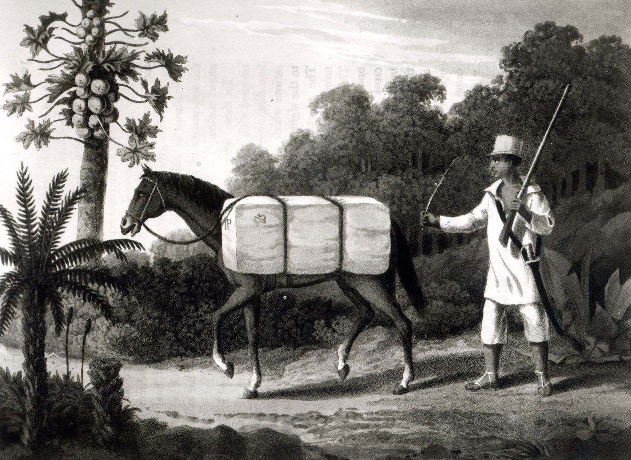 1819年の「ブラジルの旅行」からの綿の運搬船（bwプリント） 作： 英語学校