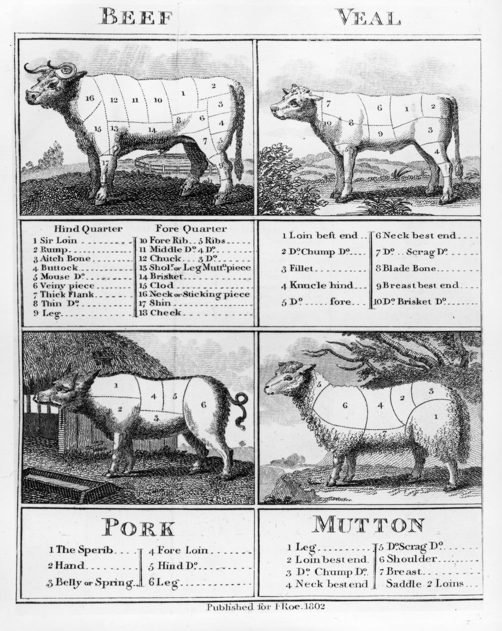 牛肉、子牛肉、豚肉、マトンカット、1802 作： 英語学校