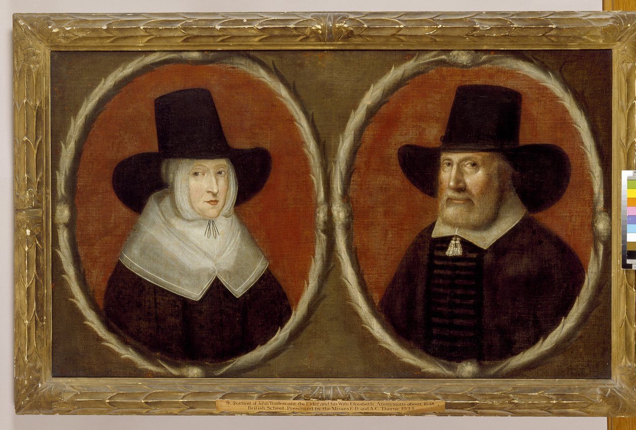 ジョントレードスキャントの長老と妻のエリザベス、1656年 作： 英語学校