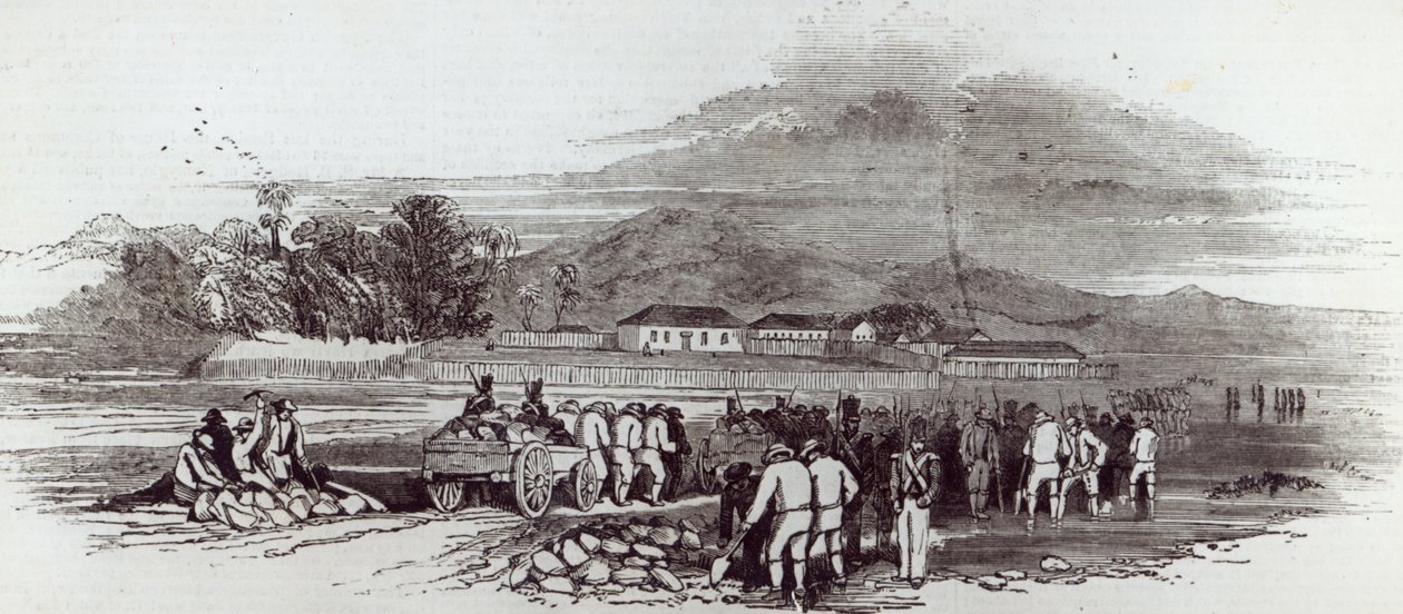 1847年6月12日、「The Illustrated London News」よりノーフォーク島 作： 英語学校