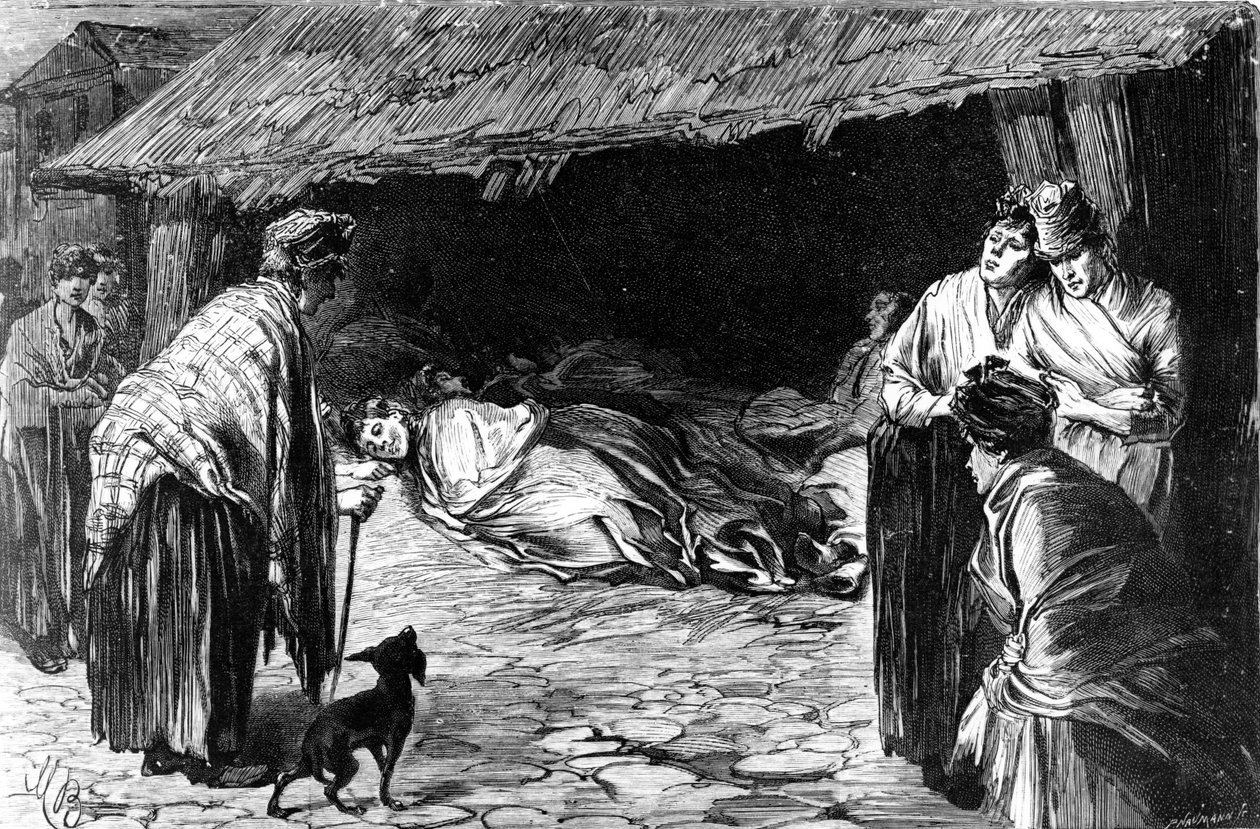 ホワイトチャペルの小屋で眠る追放者たち、1888 作： 英語学校