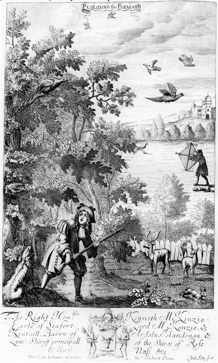 1686年にリチャードブルームから出版された「紳士のレクリエーション」のキジの平和 作： 英語学校