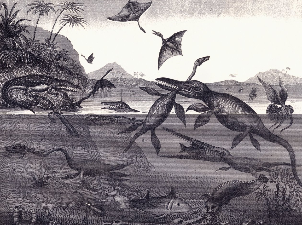 Liasグループの先史時代の動物 作： 英語学校