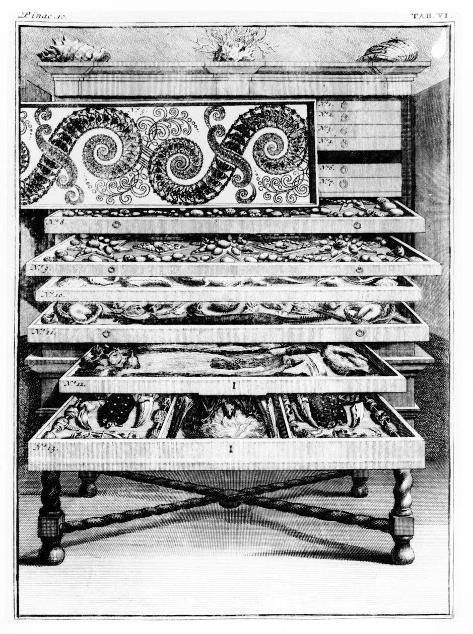 Levin St. Vincent（1658-1727）1719による「The List Tables」の表6 作： 英語学校