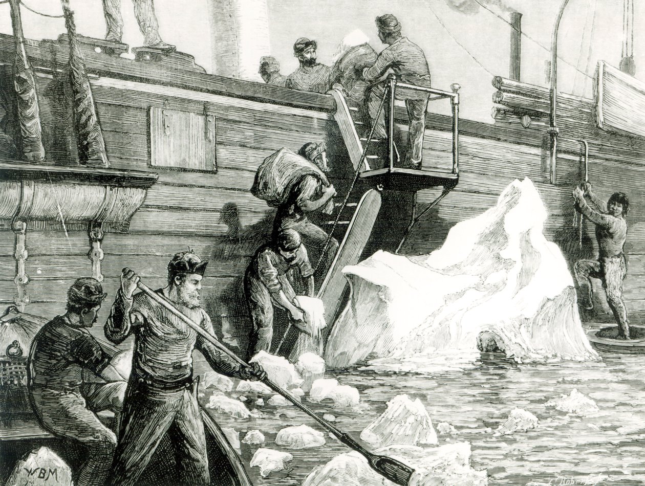 氷山からの北極探検の水やり、「グラフィック」より、1875年9月11日 作： 英語学校