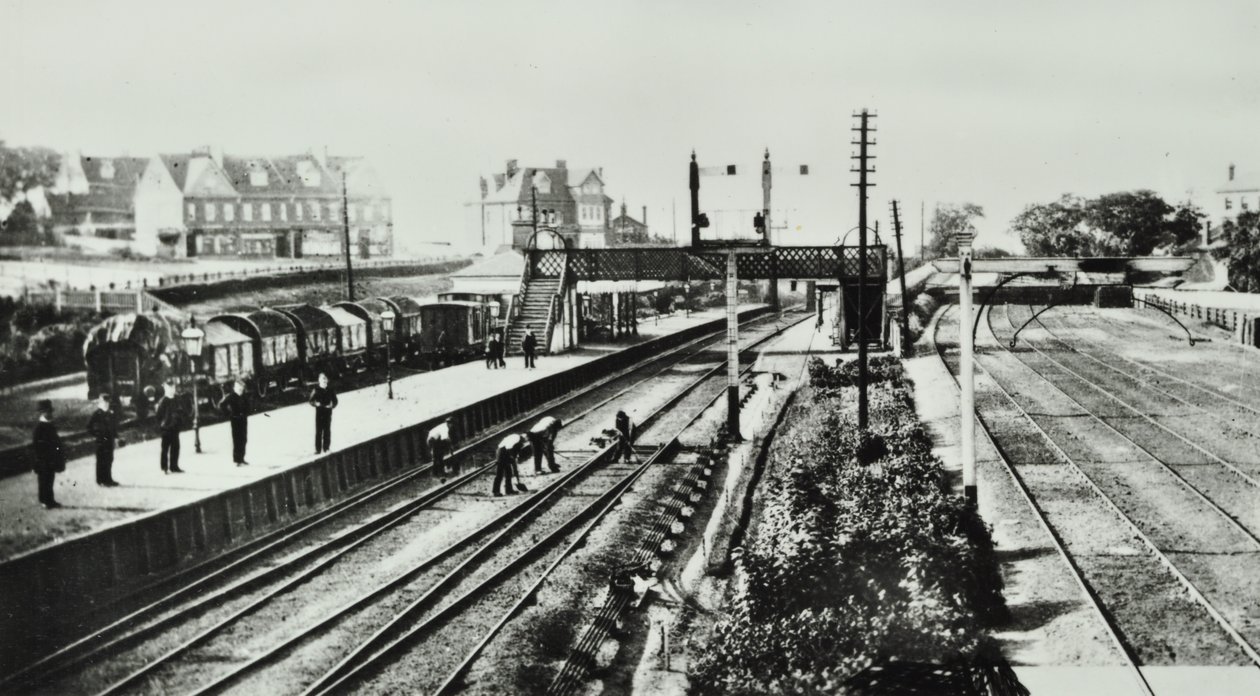 グローブパーク駅：外観とプラットフォーム、1888 作： 英語の写真家