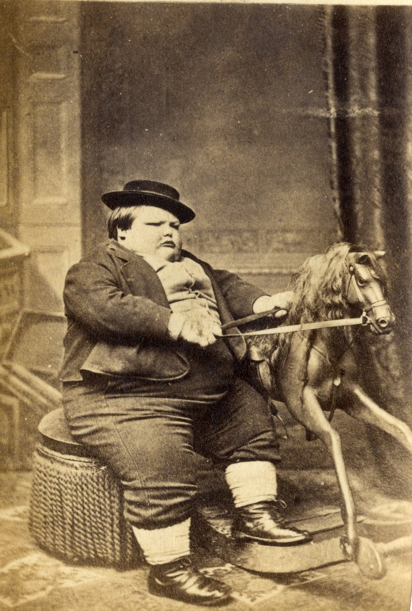 1870年代のロッキングホースでマスターリチャードビーナム（アルブメンプリント） 作： 英語の写真家