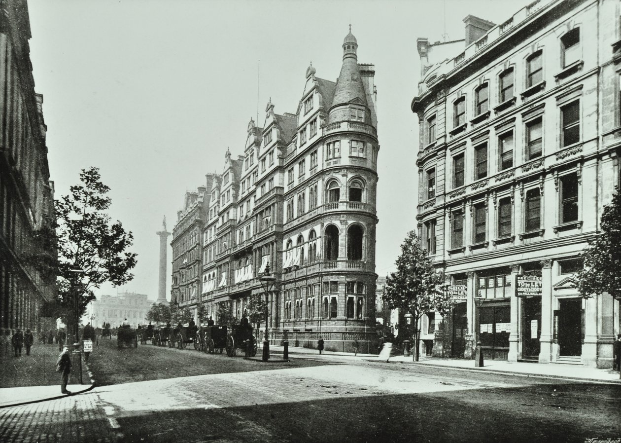 ノーサンバーランドアベニュー、1895 作： 英語の写真家