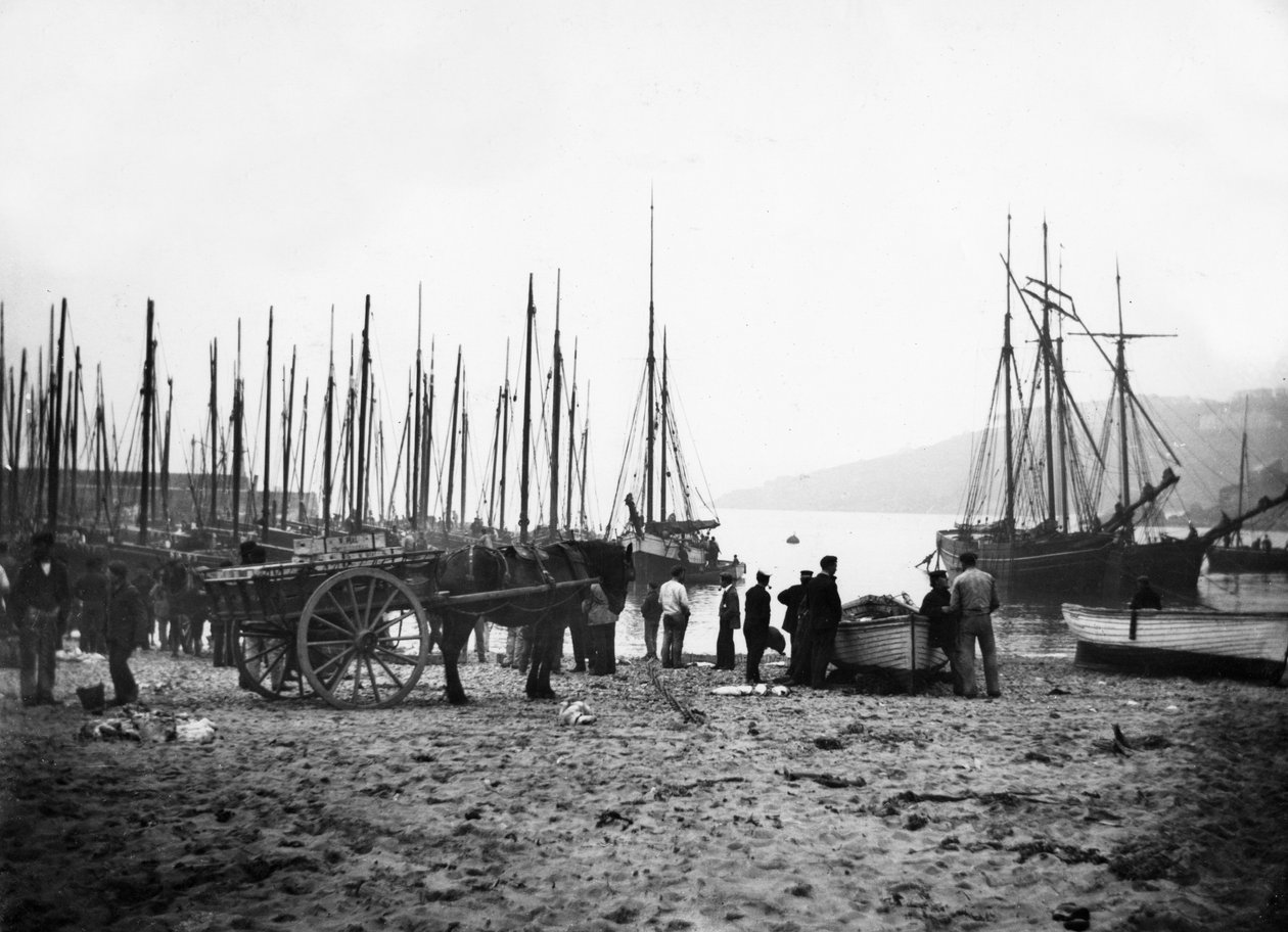 カービス湾に向かって見ているセントアイブスハーバーc.1880-99 作： 英語の写真家