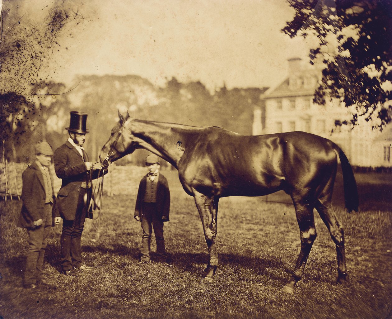 1856年にダービーで優勝したワイルドデイレル 作： 英語の写真家