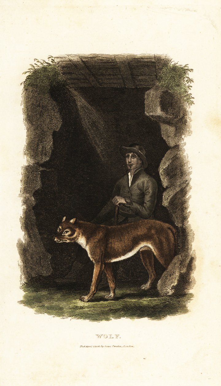 18世紀の英国紳士と飼いならされたオオカミ（Canis lupus）、洞窟の入り口で 作： 英語学校