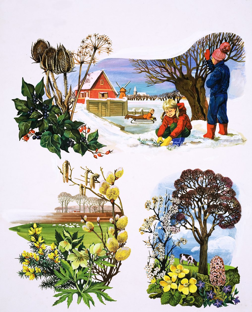 ワンス・アポン・ア・タイム」の挿絵「植物のカレンダー 作： 英語学校