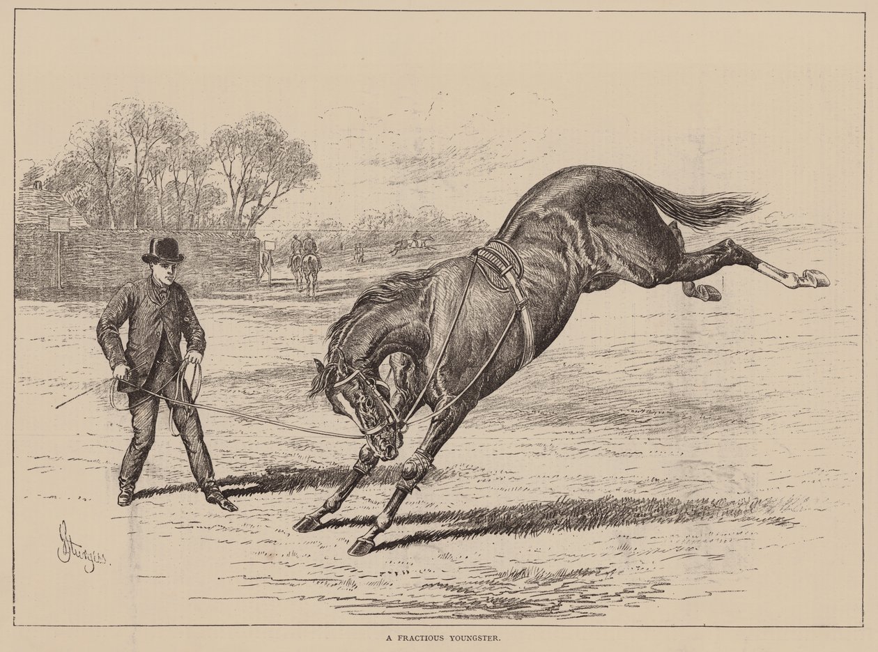 気弱な若者（エングレーヴィング） 作： 英語学校