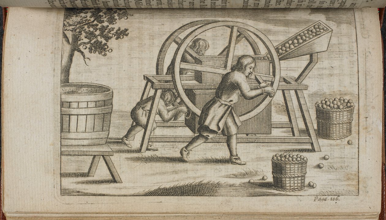 果物を圧搾する機械、「Vinetum Britannicum」または「Cyder の論文」のイラスト 作： 英語学校