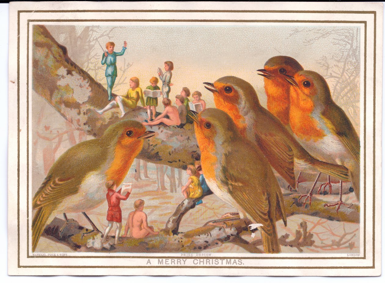 妖精のバンドを聴いている枝に止まった5匹のロビンのビクトリア朝のクリスマスカード、1880年頃 作： 英語学校