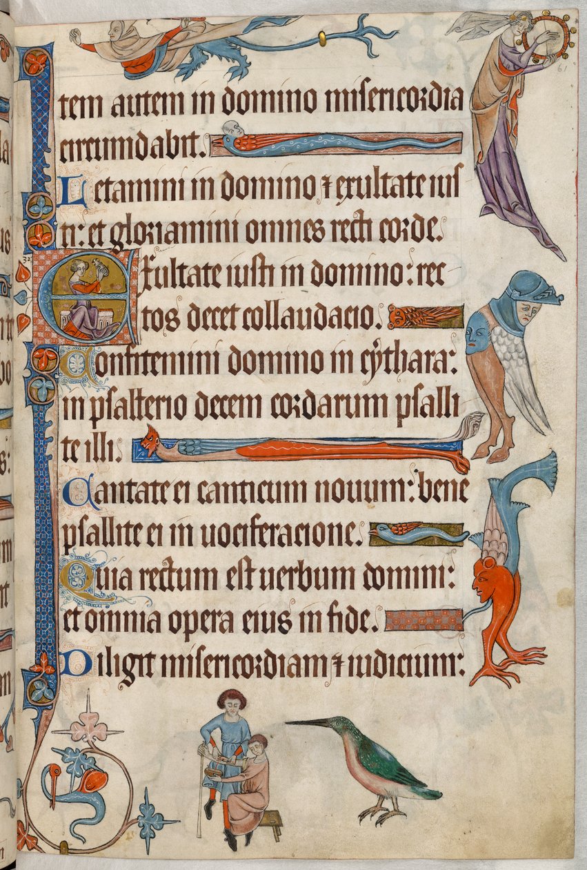 追加。 42130、f.61、患者から出血する医師、「Luttrell Psalter」、c.1325-35 (ベラム) より 作： 英語学校