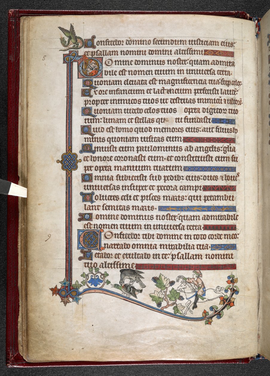 MS 24686、f.14v、ハヤブサ狩りのアヒルとポニーに乗った少年、c.1284-1316 (ベラム) を追加 作： 英語学校