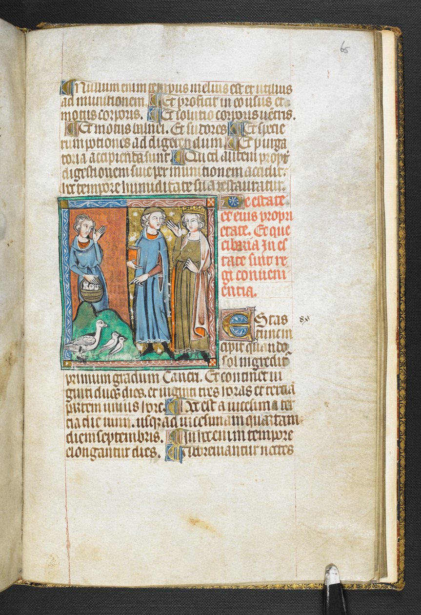 MS 47680、f.65r アリストテレスが王に持ち込まれた鳥を指している、Secretum Secretorum、c.1326-27 (ベラム) から追加 作： 英語学校