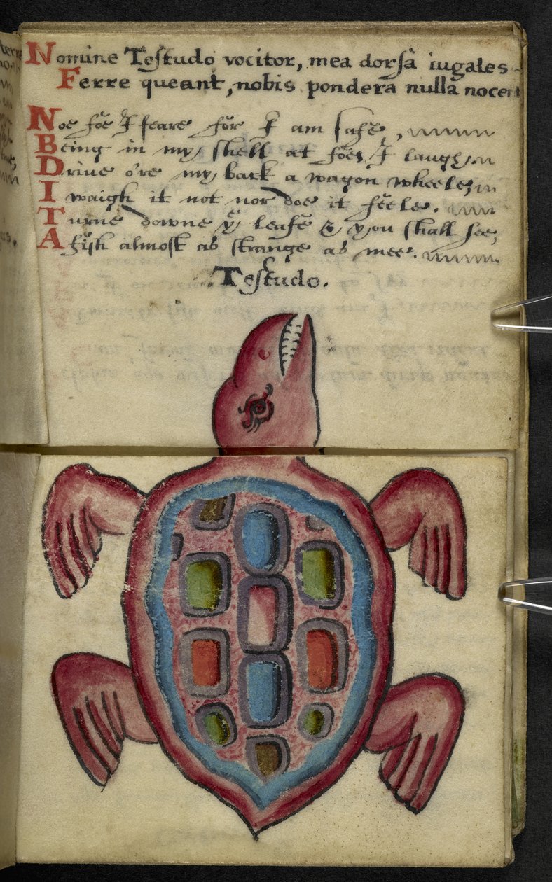 MS 57312 f.5 ゲームブックを追加 (ベラム紙にインクとカラー) 作： 英語学校