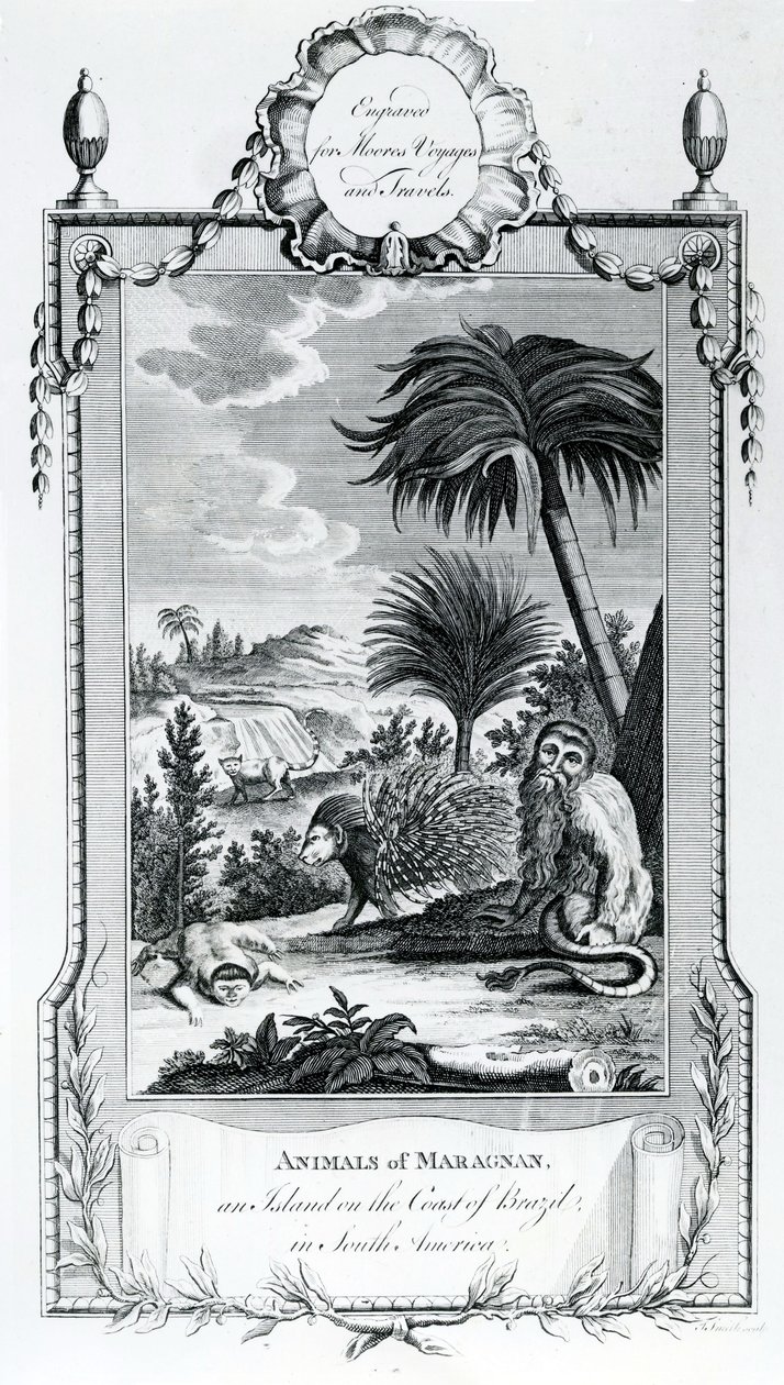 マラニャンの動物、Moores Voyages and Travels、1778年のイラスト 作： 英語学校