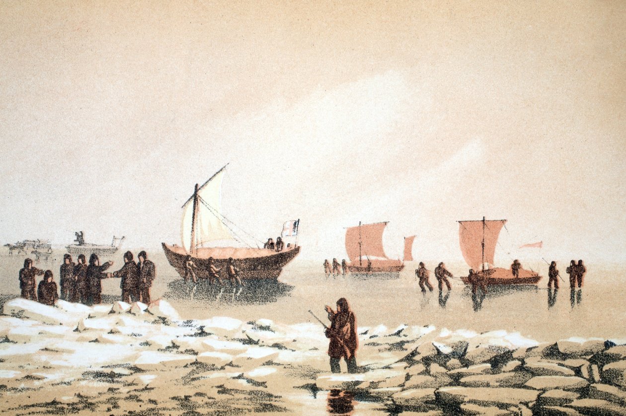 北極圏旅行、航海からバフィンズベイとバロー海峡への図...、1852年（手描きの彫刻） 作： 英語学校
