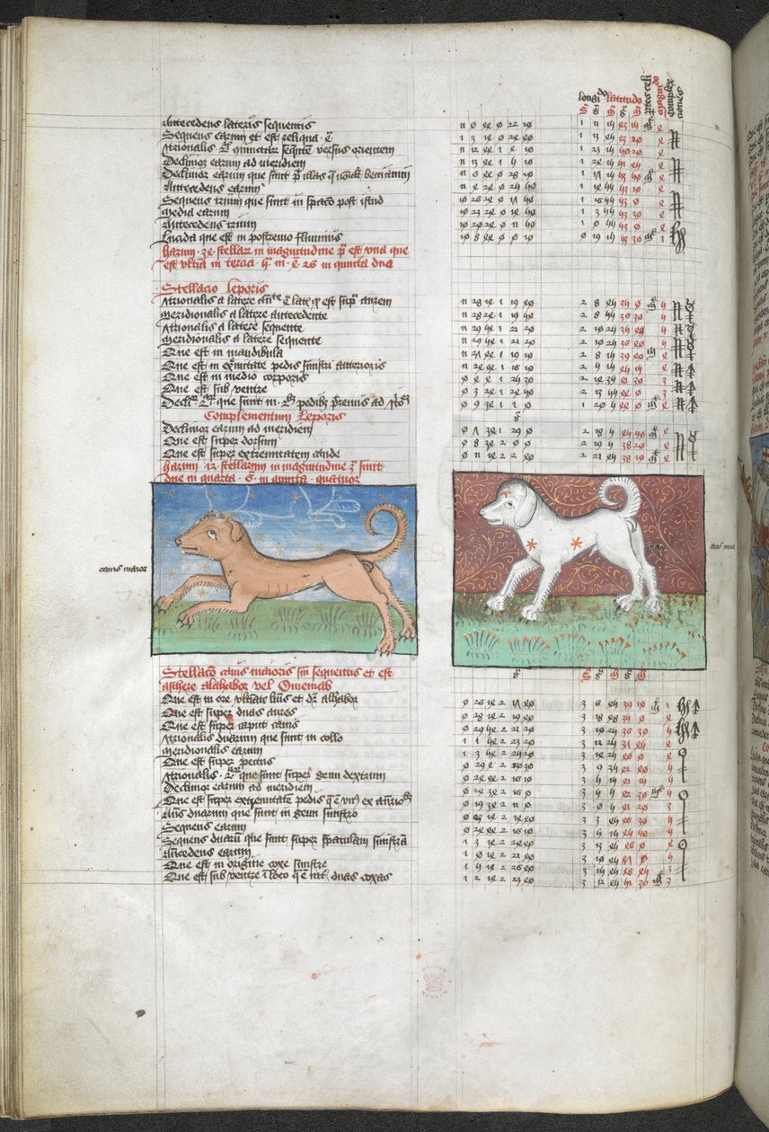 Arundel MS 66 f.44v Canis maior and Canis minor 犬として描かれた「プトレマイオス、アルマゲストから抽出された星のカタログ...」占星術の編集と政治的予言 作： 英語学校