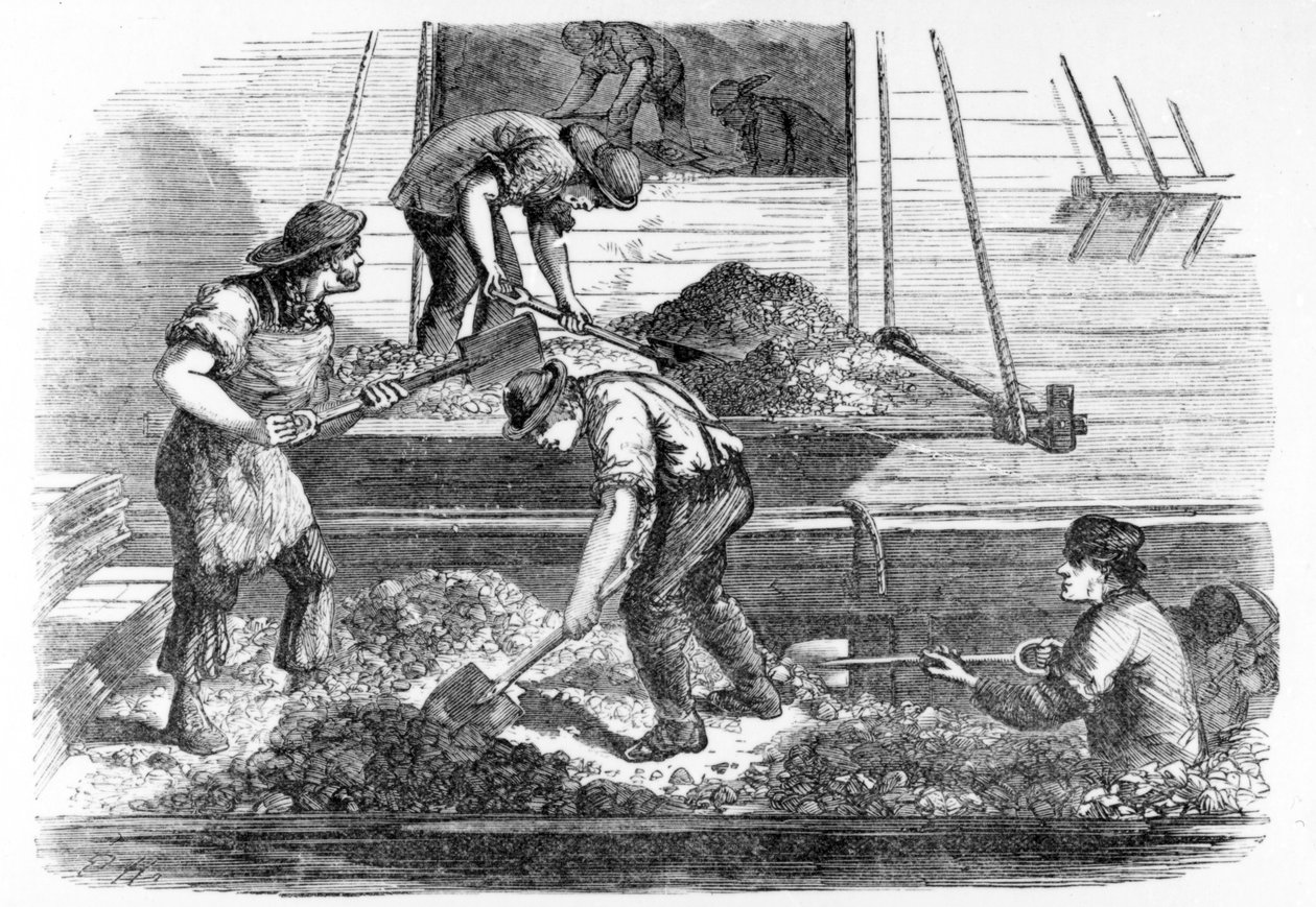 プールで作業中のバラストヒーバー、ヘンリーメイヒュー作「ロンドンレイバーとロンドンプアー」のイラスト、1840年代頃 作： 英語学校