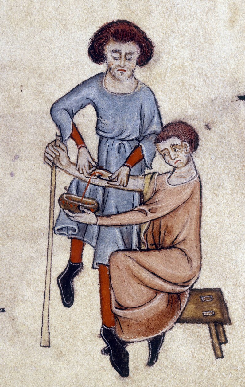 血まみれ、Luttrell Psalter、c.1325-35（ベラム）から 作： 英語学校