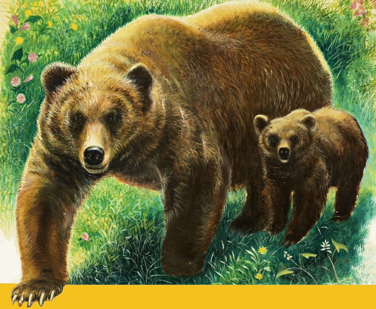 ヒグマと子グマ 作： 英語学校