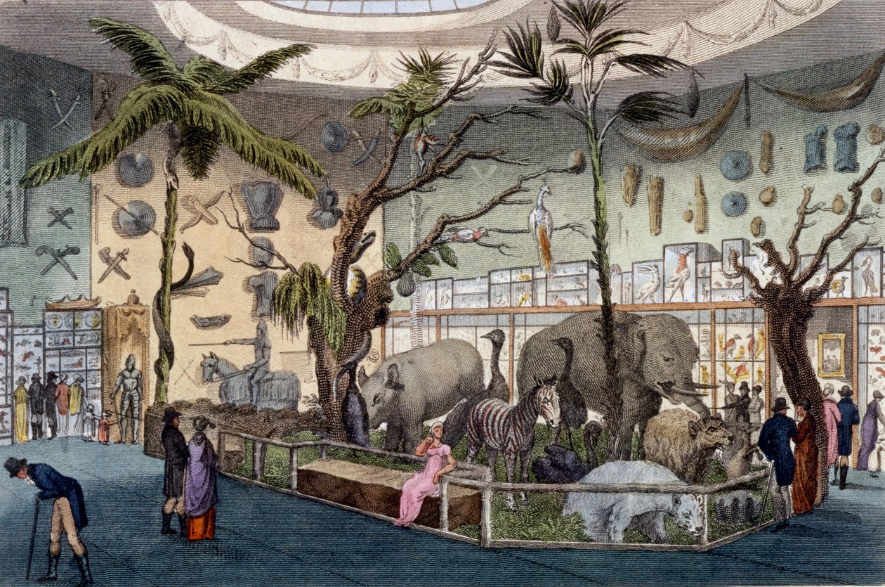 Bullocks Museum、22 Piccadilly、London、Ackermanns Repository of Arts、1809 作： 英語学校