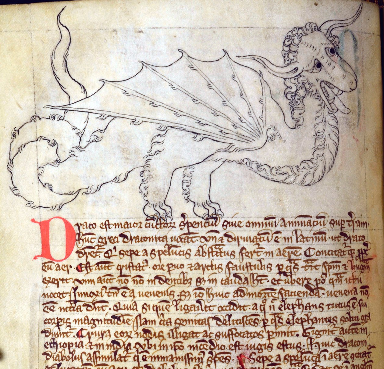 CCA-LitMs - D - 10fol。 24vドラゴン、Bestiaryから 作： 英語学校