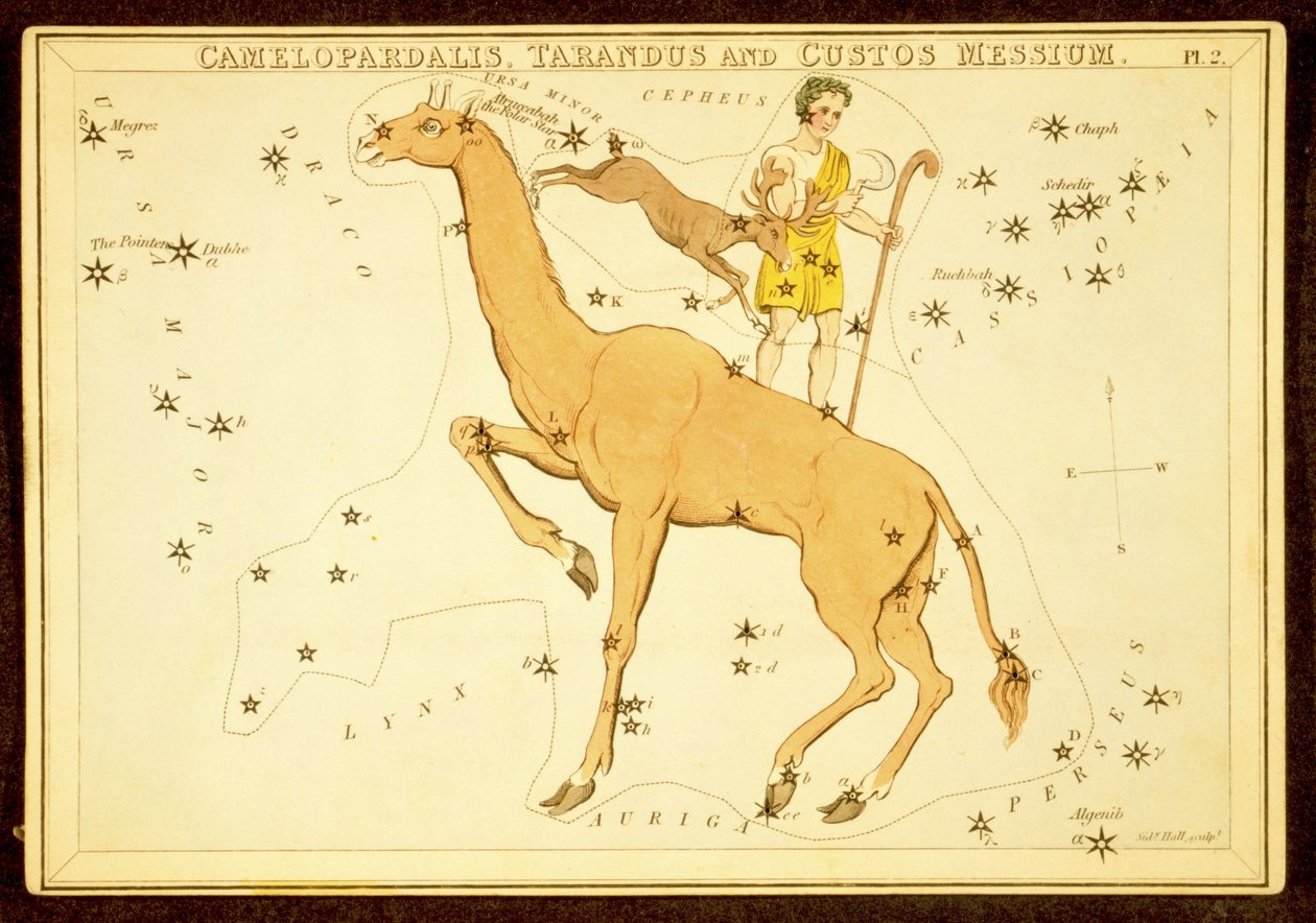 Camelopardalis, Tarandus and Custos Messium, pub.1825年（手彩色彫刻）。 作： 英語学校