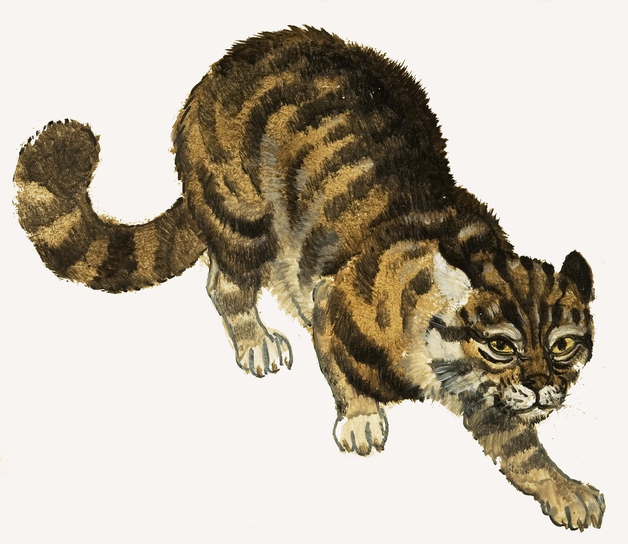 猫 作： 英語学校