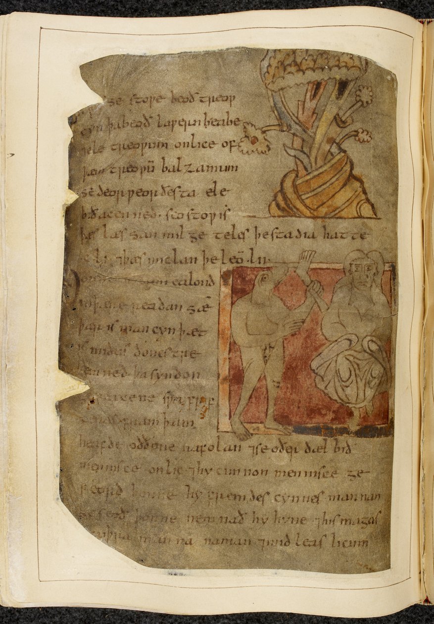 Cotton Vitellius A. XV f.103v、バルサムが育つ木。 左側に人間の脚と足を持っている獣頭の男、ドネストル、右側に人物、「ノウェル写本」（羊皮紙のインク）からのベオウルフのイラスト 作： 英語学校