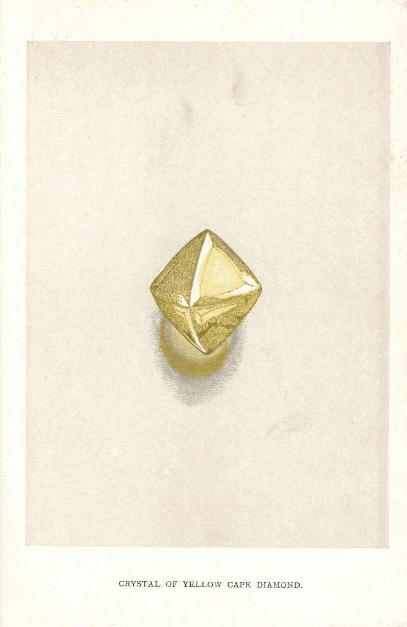 エドウィン・ストリーターの「Precious Stones and Gems」（ロンドン、ジョージ・ベル＆サンズ）より、イエロー・ケープ・ダイヤモンドのクリスタル 作： 英語学校