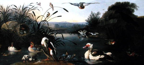 Ducks on a Pond（油彩・キャンバス） 作： 英語学校
