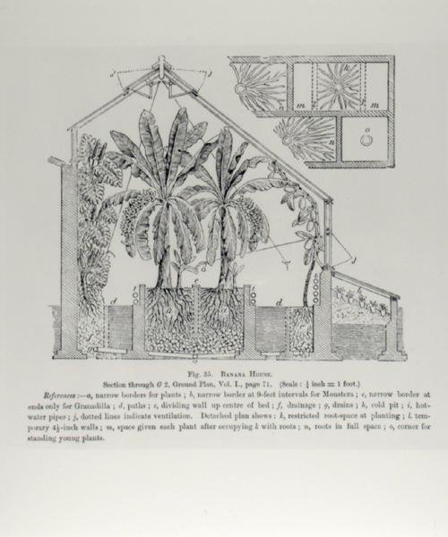 1897年から1905年にかけて出版されたJohn Wright著「The Fruit Grower